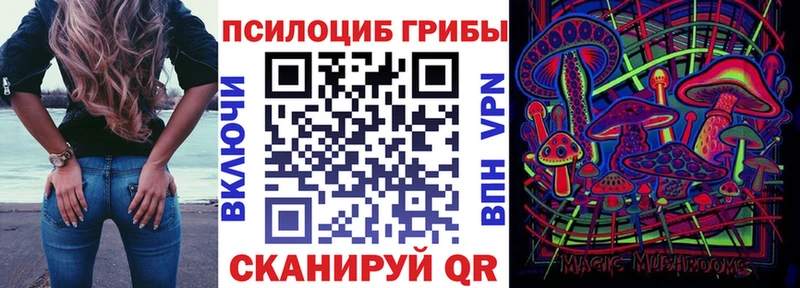 Галлюциногенные грибы Cubensis ссылка на мегу рабочий сайт Знаменск