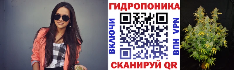 Канабис план  Знаменск 